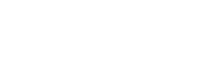 Nyack, New York logo